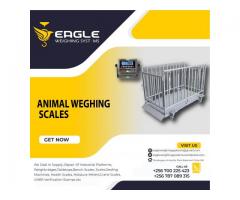 Stainless platform animal weighing scale