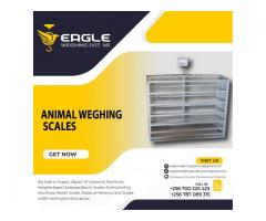 platform weighing digital animal scale