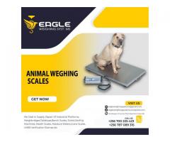 High quality animal weigh scales in Uganda