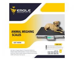 Animal High Accuracy weigh scales in Uganda