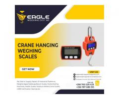 weighing crane scales supplier in Uganda