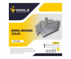 3000KG animal cattle scales in Kampala