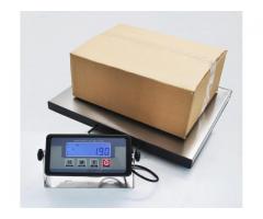 Shipping table top bench scale
