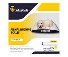 Animal Bench weighing scales in Uganda