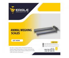 Heavyduty animal weigh scales supplier of Uganda