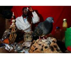Astrologer Spell Caster in Gambia+256770817128