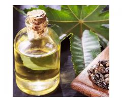 Garlic Oil Soft Capsules Herbal exporter to Europe