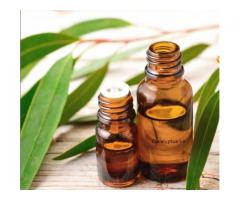 Oil Soft Gel Capsule Herbal exporter to Europe