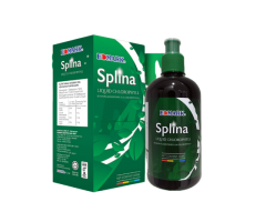 Edmark Splina Liquid Chlorophyll - 500ml