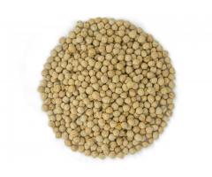 Lentils Herbal exporter to Canada, Europe