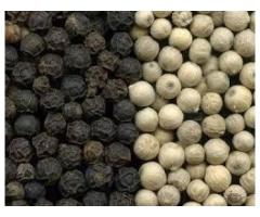 White pepper seeds Herbal exporter to Europe