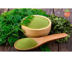 Moringa Leaves herbal Powder in USA