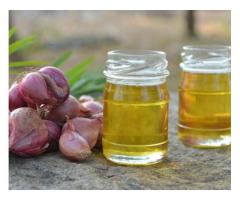 Onion Oil Herbal exporter to USA, Canada, Europe