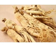 Ginseng Herb for Sexual Enhancement